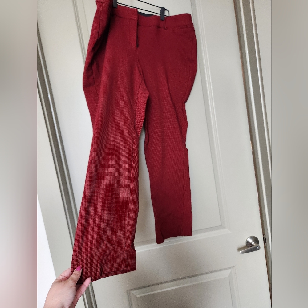 Lane Bryant Allie Pant